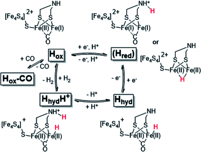 Scheme 1