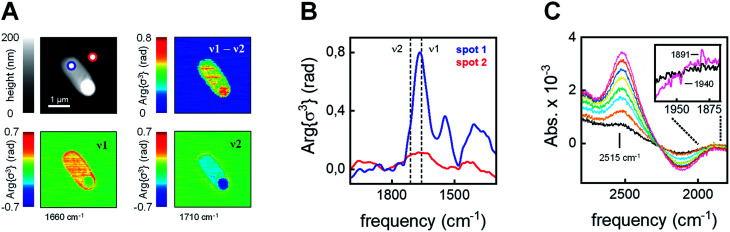 Fig. 3