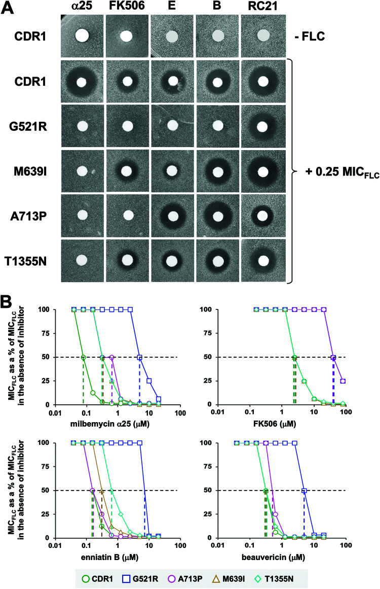 FIG 3