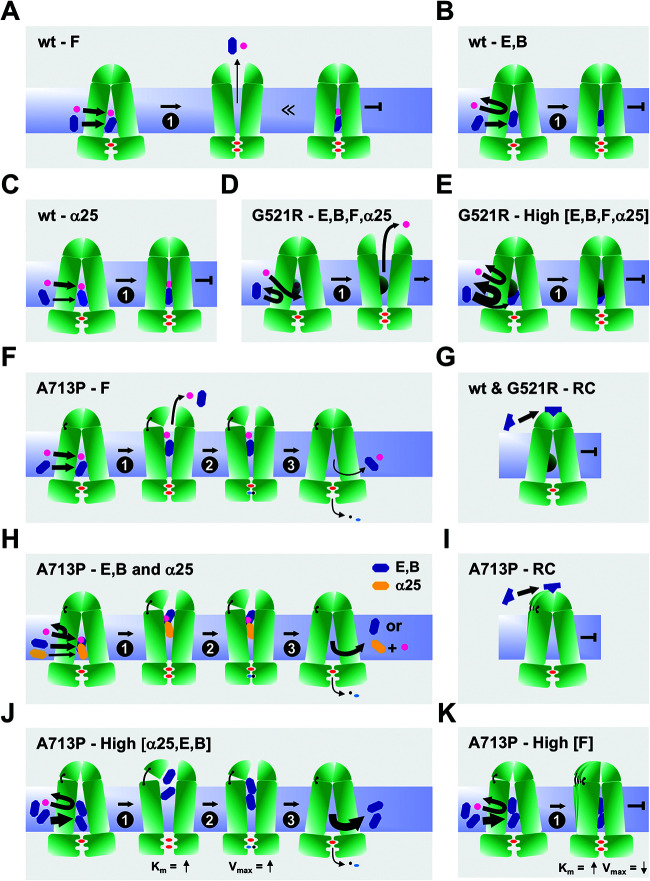 FIG 9