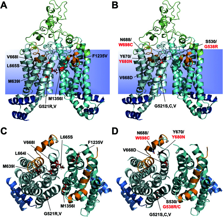 FIG 6