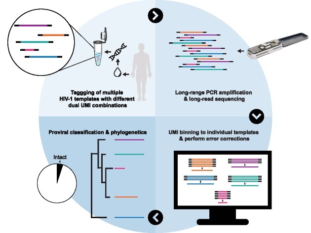 Graphical Abstract