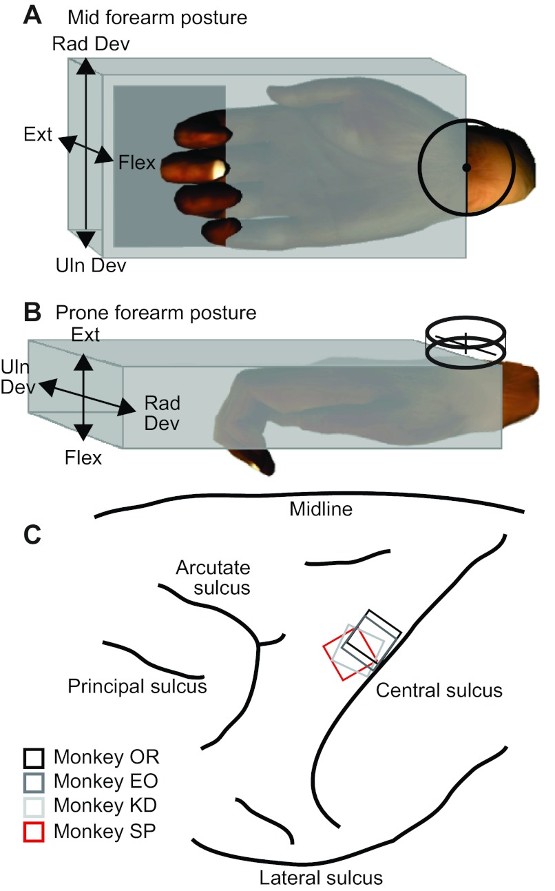 Fig. 1.