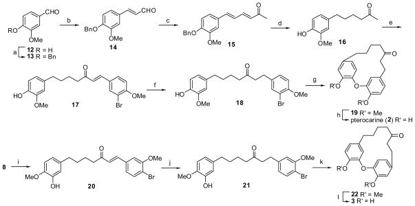 Scheme 3