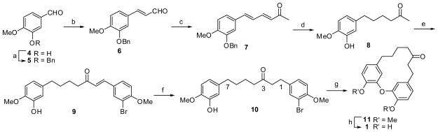 Scheme 2