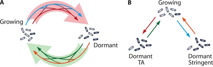 FIG 4