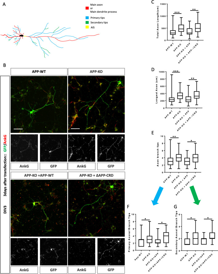 Figure 6.