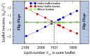Figure 24