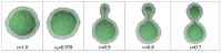 Figure 19