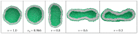 Figure 21