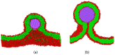 Figure 36