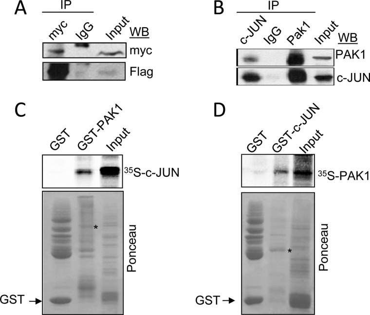 FIGURE 5.