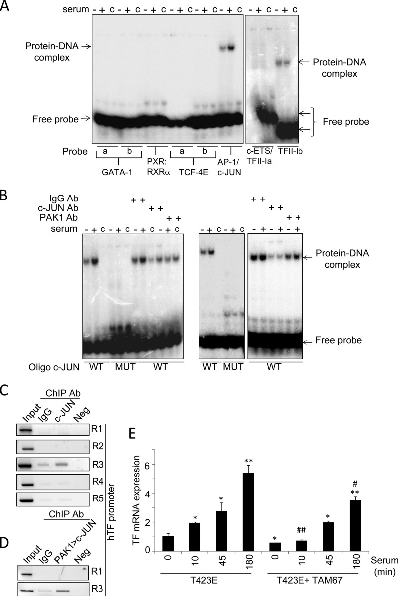 FIGURE 4.