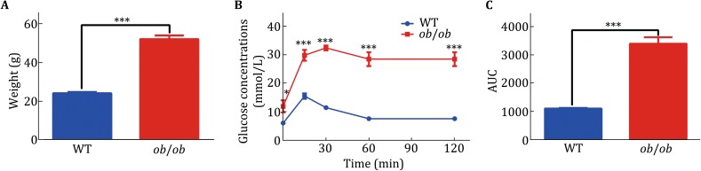 Fig. 2