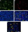 Fig. 6.