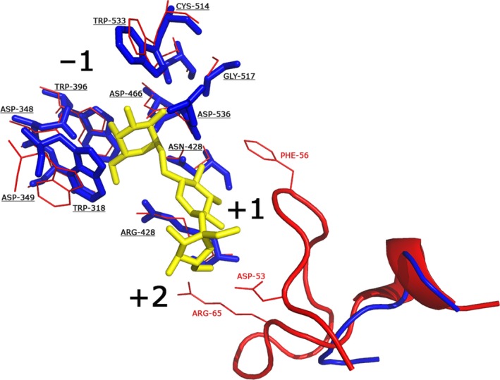 Figure 6