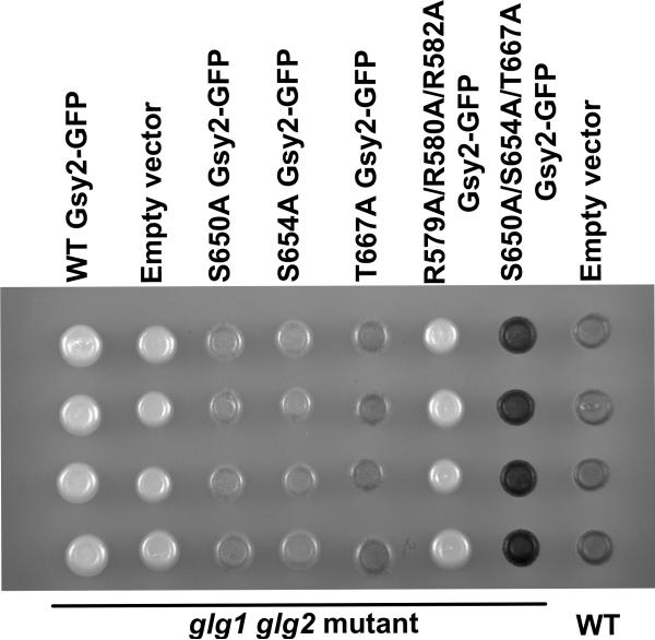 Figure 10