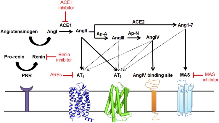 Fig. 2.