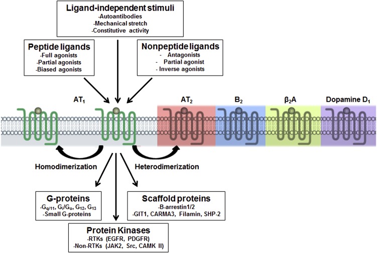 Fig. 6.