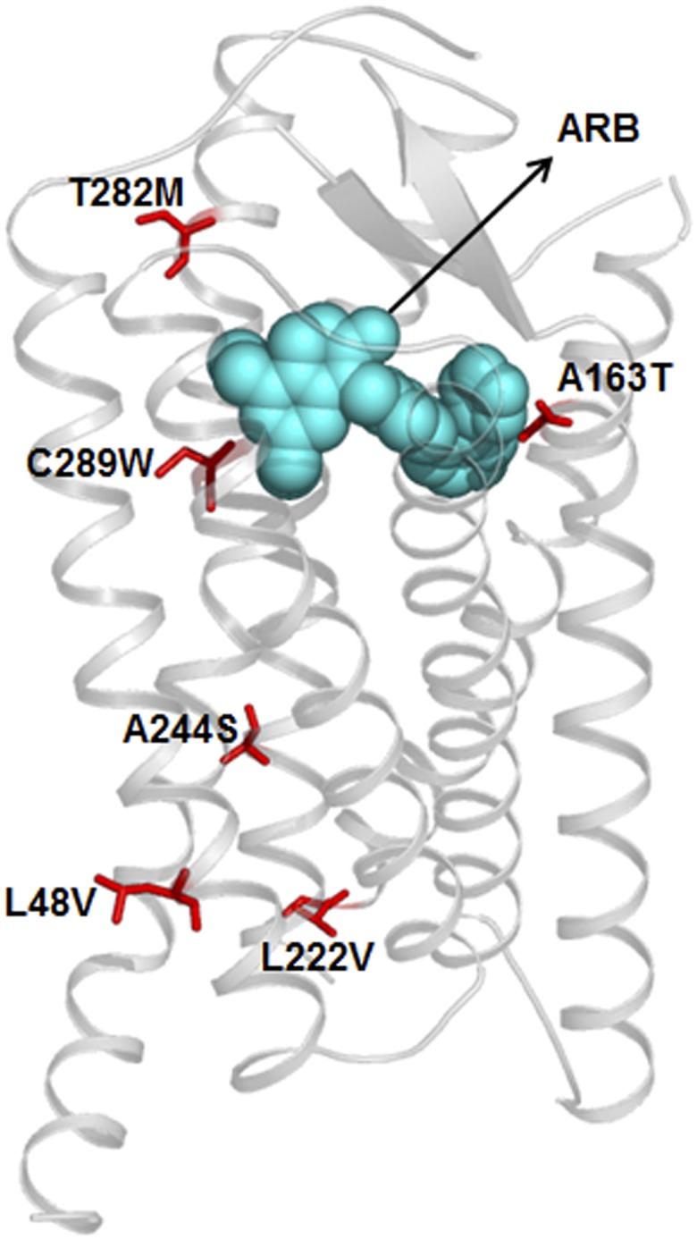 Fig. 5.