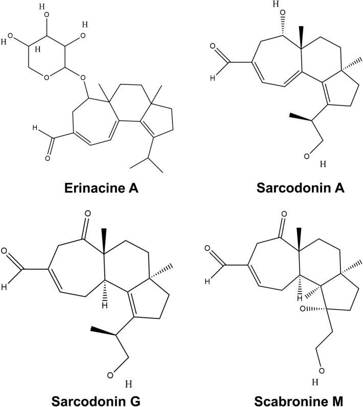 Fig. 6