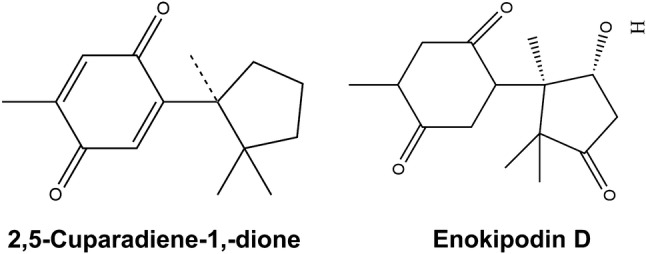 Fig. 4