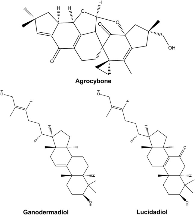 Fig. 2