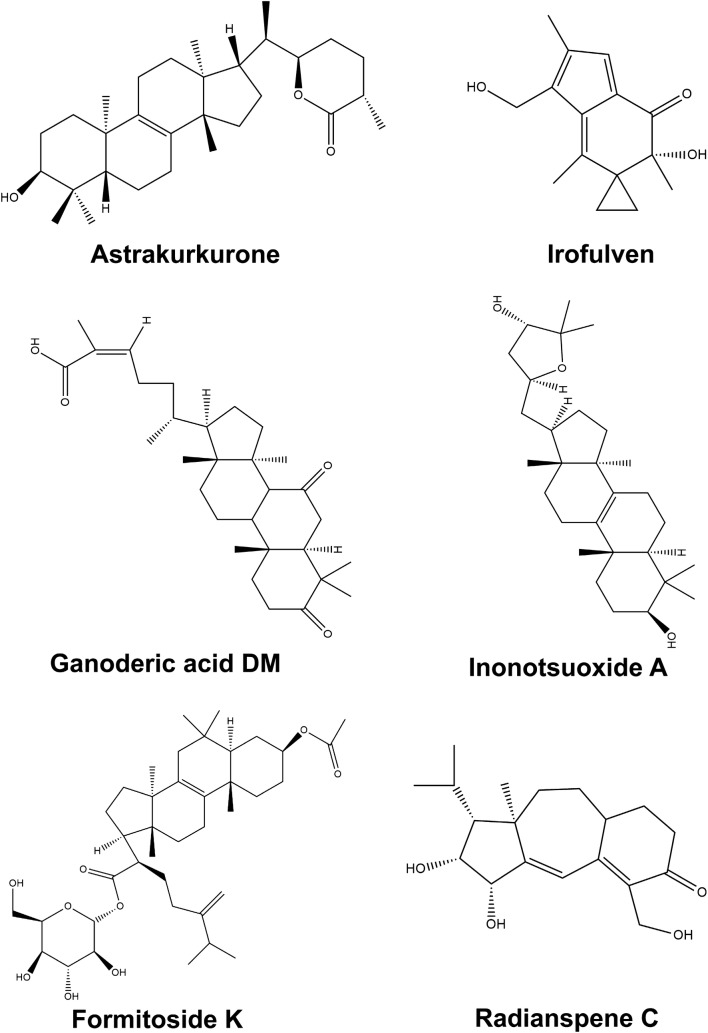 Fig. 7