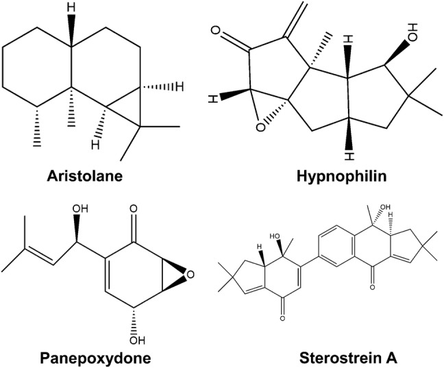 Fig. 3