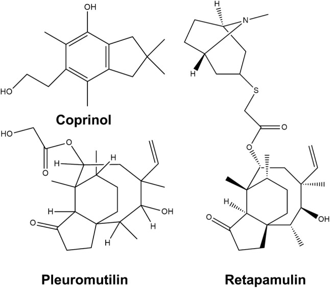 Fig. 1