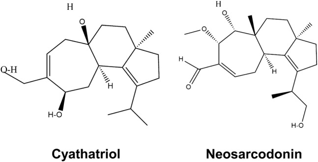 Fig. 5