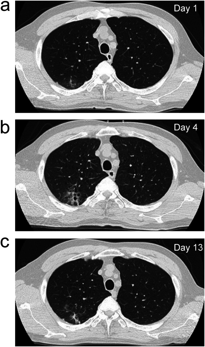 Figure 1.