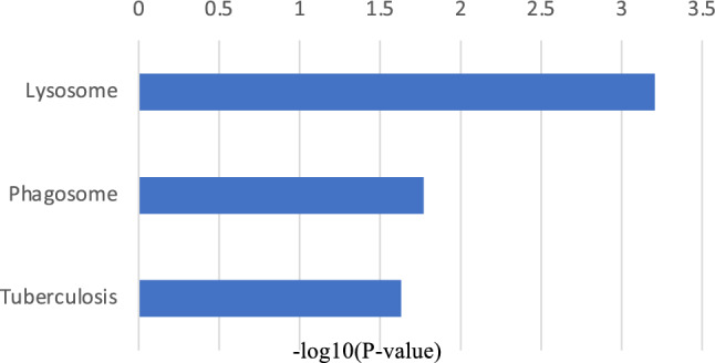 Figure 10