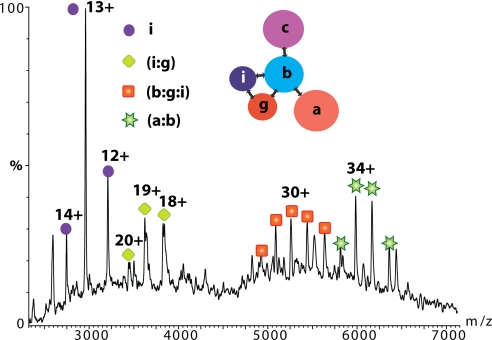 Fig. 3.