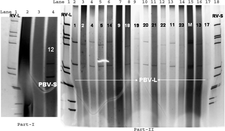 Fig. 5