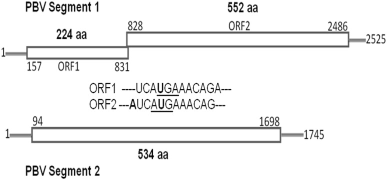 Fig. 4