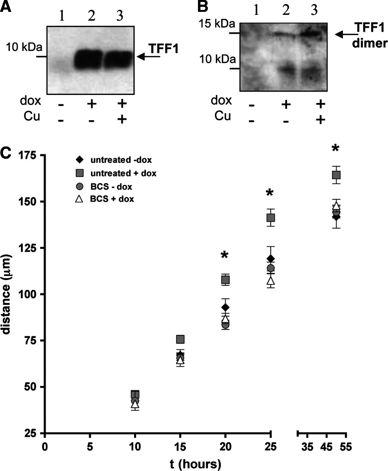 Fig. 7