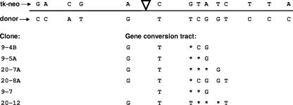 FIG. 5.