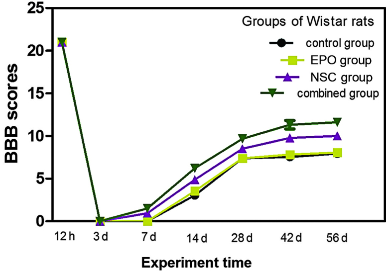 Figure 7.