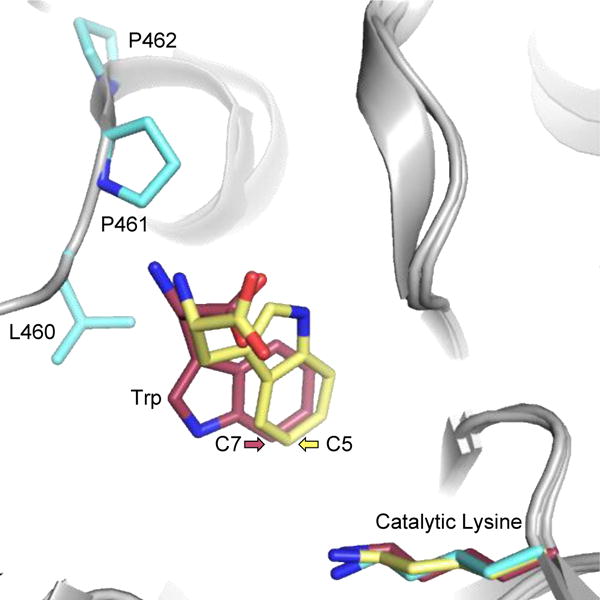 Figure 5