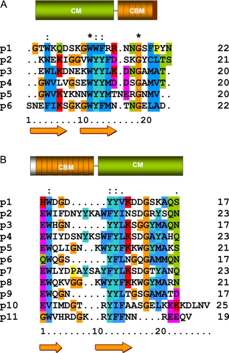 FIGURE 1.