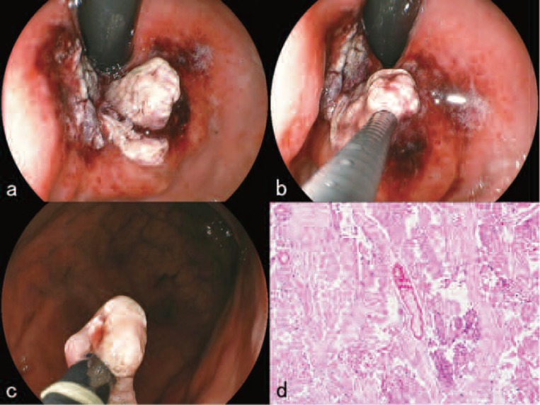 Figure 5: