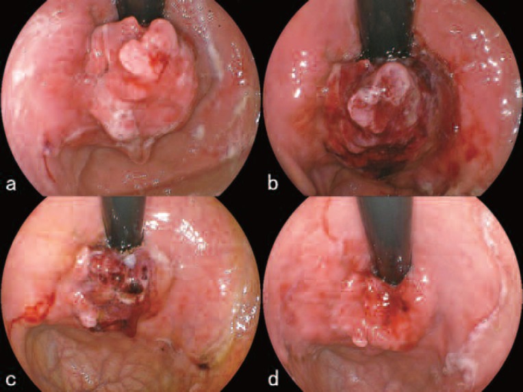 Figure 7: