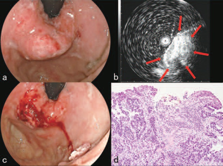 Figure 2: