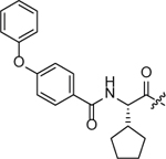graphic file with name nihms-1573719-t0018.jpg