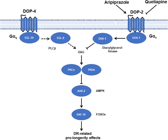 Fig. 7