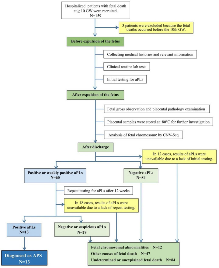 Fig. 1