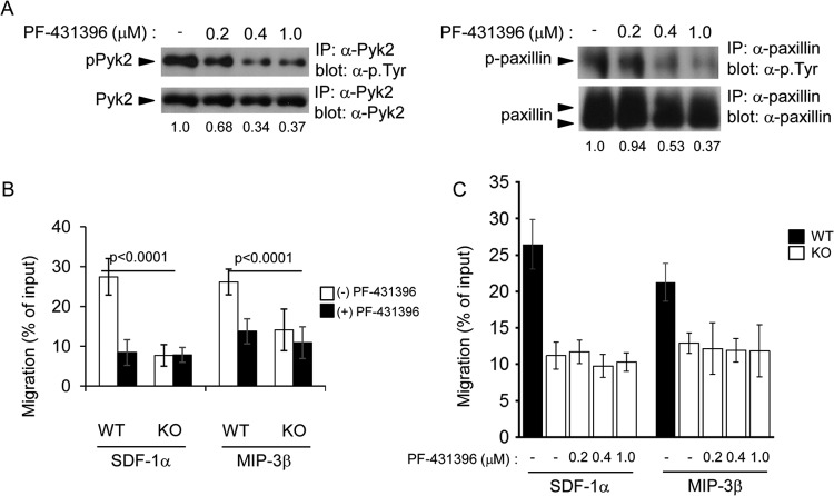 FIG 10