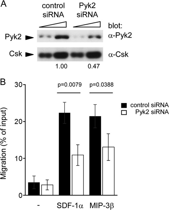 FIG 11