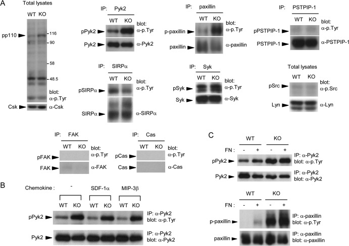 FIG 9